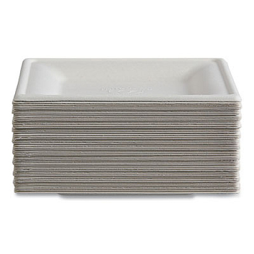 Eco-Products Vanguard Renewable and Compostable Sugarcane Plates, 6 x 6, White, 500/Carton (EPP021NFA)