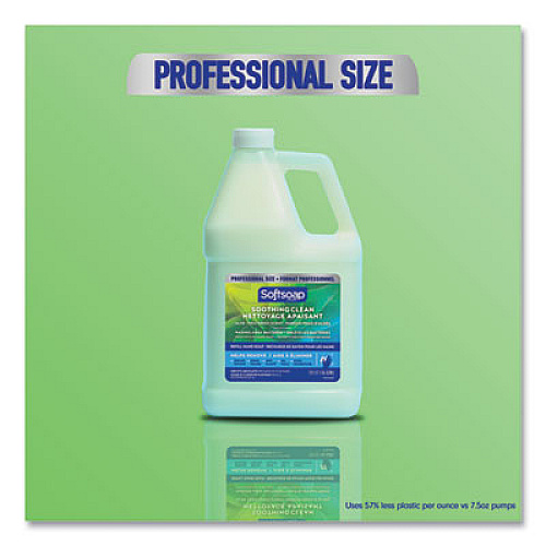 Softsoap Liquid Hand Soap Refill with Aloe, Aloe Vera Fresh Scent, 1 gal Bottle (61036483EA)