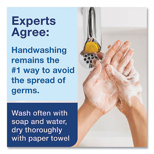 Tork Clarity Hand Soap Refill, Unscented, 1 L, 6/Carton (401800)