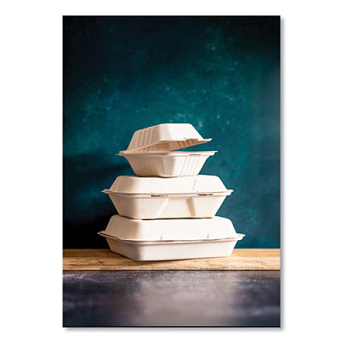 Vegware White Molded Fiber Clamshell Containers, Compostable, 9 x 9 x 3, White, Sugarcane, 200/Carton (WHBRG9HW)