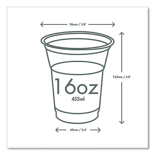 Vegware 96-Series Cold Cup, 16 oz, Plastic, Clear/Green, 1,000/Carton (R500YG)