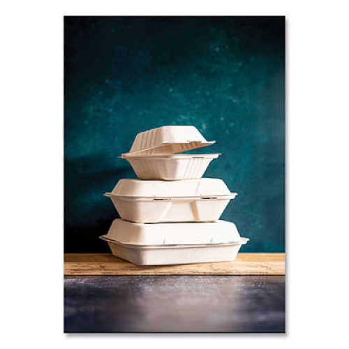 Vegware Nourish Molded Fiber Takeout Containers, Compostable, 9 x 9 x 3, Natural, Sugarcane, 200/Carton (VWHC91NFA)