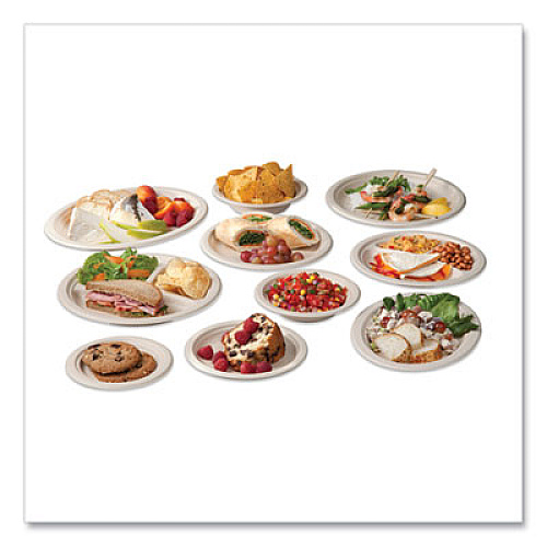 Vegware Nourish Molded Fiber Tableware, Compostable, Plate, Sugarcane, 6" dia, White, 1,000/Carton (VWP016NFA)