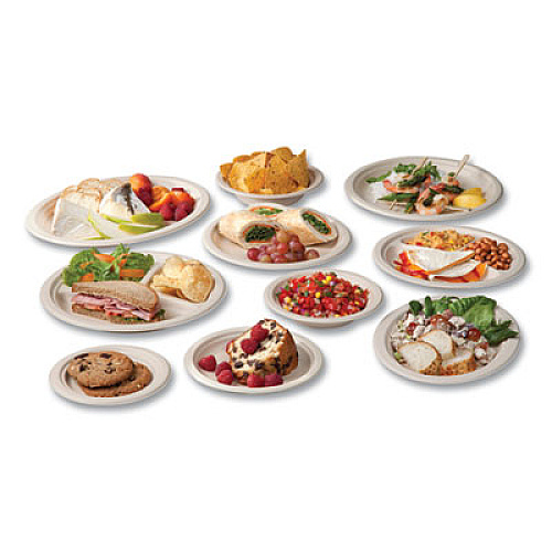 Vegware Nourish Molded Fiber Tableware, Compostable, Plate, Sugarcane, 9" dia, White, 500/Carton (VWP013NFA)