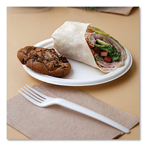 Eco-Products Vanguard Renewable and Compostable Sugarcane Plates, 10" dia, White, 500/Carton (EPP005NFA)