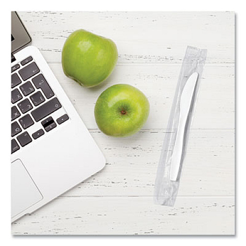 SOLO Regal Mediumweight Cutlery, Individually Wrapped, Knife, Plastic, White, 1,000/Carton (MOW20007)