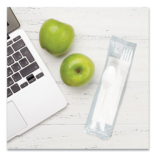 SOLO Regal Mediumweight Cutlery Kit, Individually Wrapped, Fork/Knife/Napkin/Spoon, Plastic, White, 250/Carton (MOW9Y0007)