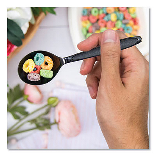 SOLO Reliance Mediumweight Cutlery, Soup Spoon, Plastic, Black, 1,000/Carton (RSKS0004)