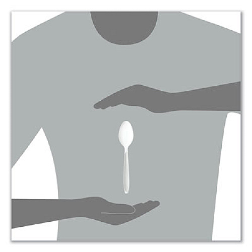 SOLO Impress Heavyweight Full-Length Polystyrene Cutlery, Spoon, Plastic, White, 100/Box, 10 Boxes/Carton (HSWTX0007)