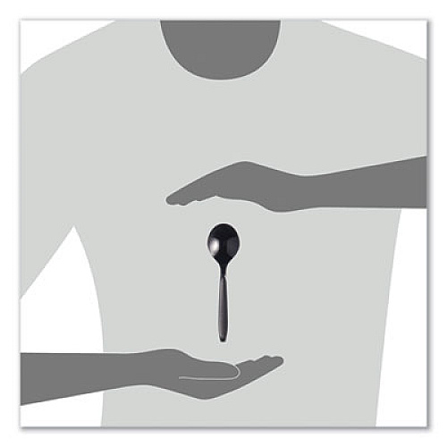 SOLO Reliance Mediumweight Cutlery, Soup Spoon, Plastic, Black, 1,000/Carton (RSKS0004)