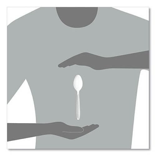 SOLO Impress Heavyweight Full-Length Polystyrene Cutlery, Spoon, Plastic, White, 100/Box (HSWTX0007BX)