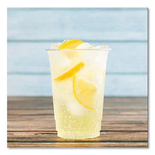Karat PET Plastic Cups, 10 oz, Clear, 1,000/Carton (CKC10)