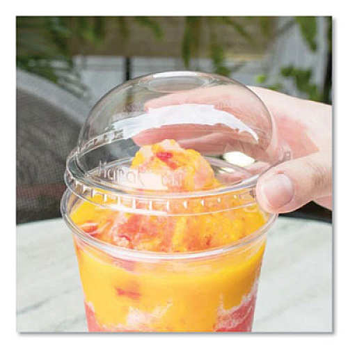 Karat PET Lids, Dome Lid, Fits 32 oz Cold Cups, Plastic, Clear, 500/Carton (CKDL107)