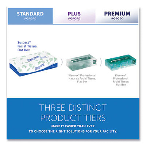 Surpass Facial Tissue for Business, Flat Box, 2-Ply, White, 100 Sheets/Box, 30 Boxes/Carton (21340)