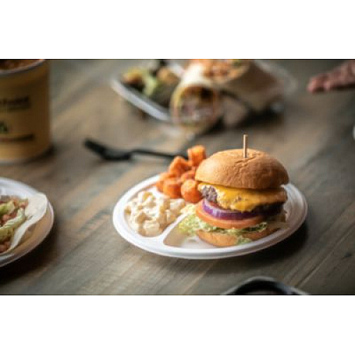 Pactiv Evergreen EarthChoice PFAS Free Compostable Dinnerware, 3-Compartment Plate, Sugarcane, 10.25" dia, Natural, 500/Carton (MC50044PFREE)