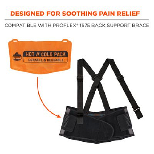 ergodyne ProFlex 6275 Reusable Hot/Cold Pack Replacement, 13 x 6.7, 2/Pack (12212)