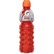 Gatorade Fruit Punch Thirst Quencher (24121)