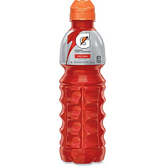 Gatorade Fruit Punch Thirst Quencher (24121)