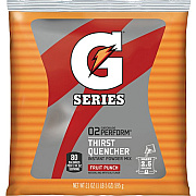 Gatorade Fruit Punch Thirst Quencher (33691)
