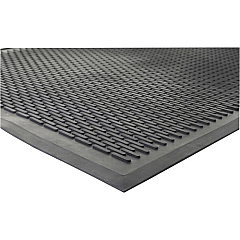 Genuine Joe Clean Step Scraper Floor Mats (70367)