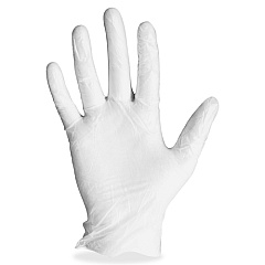 ProGuard Powdered General-purpose Gloves (8606L)