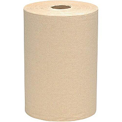 Scott Recycled Hard Roll Paper Towels