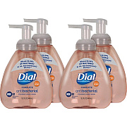 Dial Complete Antibacterial Foaming Hand Wash (98606)