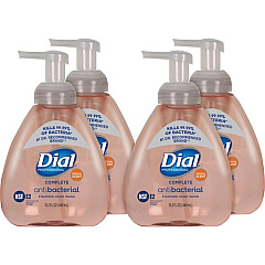 Dial Complete Antibacterial Foaming Hand Wash (98606)
