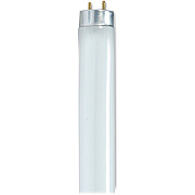 SATCO Flourescent Light Bulbs 32W 6/box (S8449)