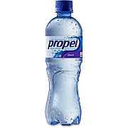 Propel Grape Flavored Water Beverage (00173)