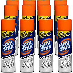 Spot Shot Professional Instant Carpet Stain Remover (00993CT)
