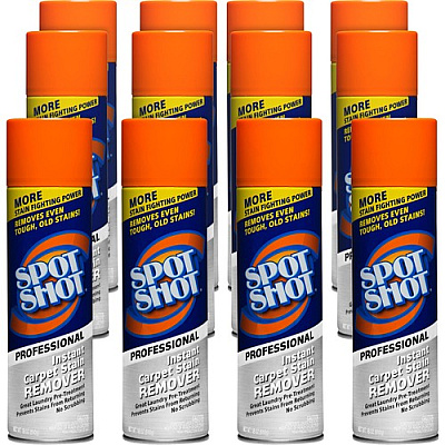 Spot Shot Professional Instant Carpet Stain Remover (00993CT)