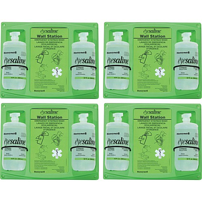 Honeywell Fendall 32 oz. Double Eyewash Wall Station (3200046200HS)