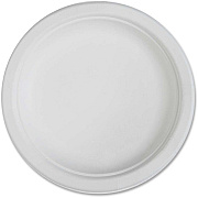 Genuine Joe Plates (GJO10216)