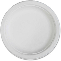 Genuine Joe Plates (GJO10216)