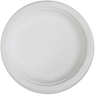 Genuine Joe Plates (GJO10216)