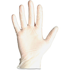 ProGuard General-purpose Disposable Vinyl Gloves (8606XL)