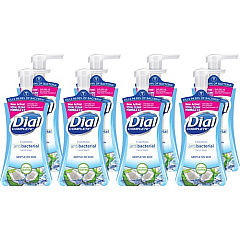 Dial Complete Coconut Water Foam Hand Wash (09315CT)