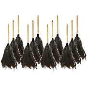 Genuine Joe Feather Duster (90118CT)