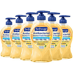 Softsoap Antibacterial Kitchen Fresh Hands Soap (04206CT)