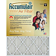 Filters-NOW.com Accumulair Gold Air Filter (FB20X204)