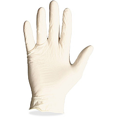 Protected Chef Latex General-Purpose Gloves (8971LCT)