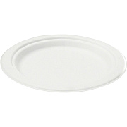 Savannah Corp Savannah Bagasse Disposable Plates (P001CT)