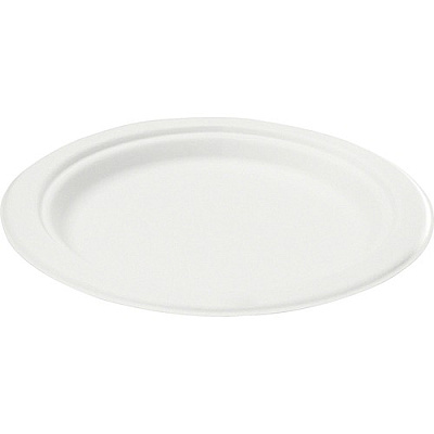 Savannah Corp Savannah Bagasse Disposable Plates (P001CT)