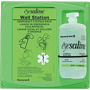 Honeywell Fendall Aline Eyewash Station (320004610CT)
