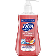 Dial Pomegranate Antibacterial Hand Soap (02795CT)
