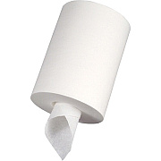 Special Buy Center Pull Towels (CPT)