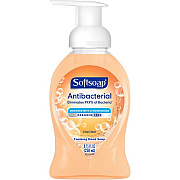 Softsoap Antibacterial Foam Soap (06308)