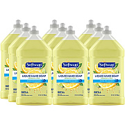 Softsoap Citrus Hand Soap Refill (07337CT)