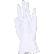 Special Buy Disposable Vinyl Gloves (03426)